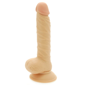 8-Inch Realistic Dildo with Balls – Lifelike Suction Dong