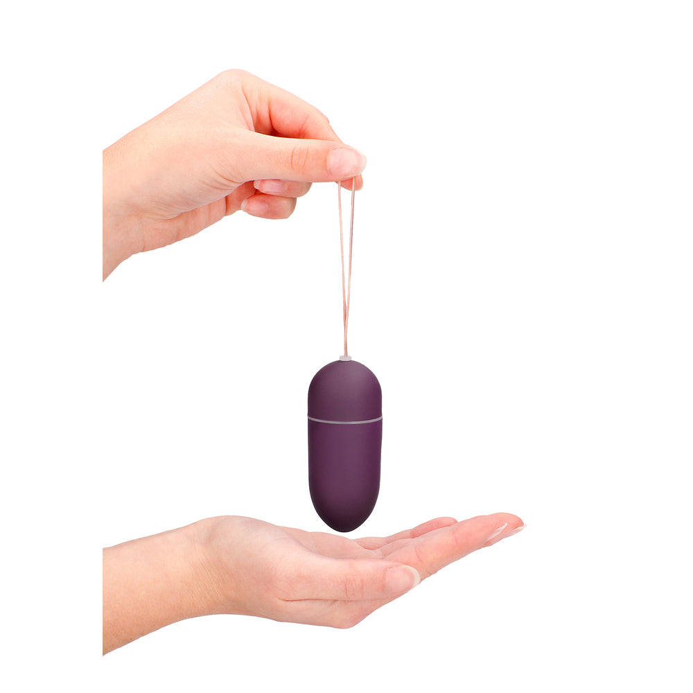 10-Speed Big Remote Control Vibrating Egg – Purple Wireless Love Egg
